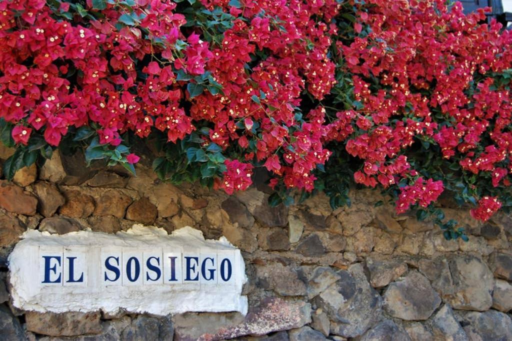 El Sosiego, Der Rueckzugsort Santa Brigida  Ngoại thất bức ảnh